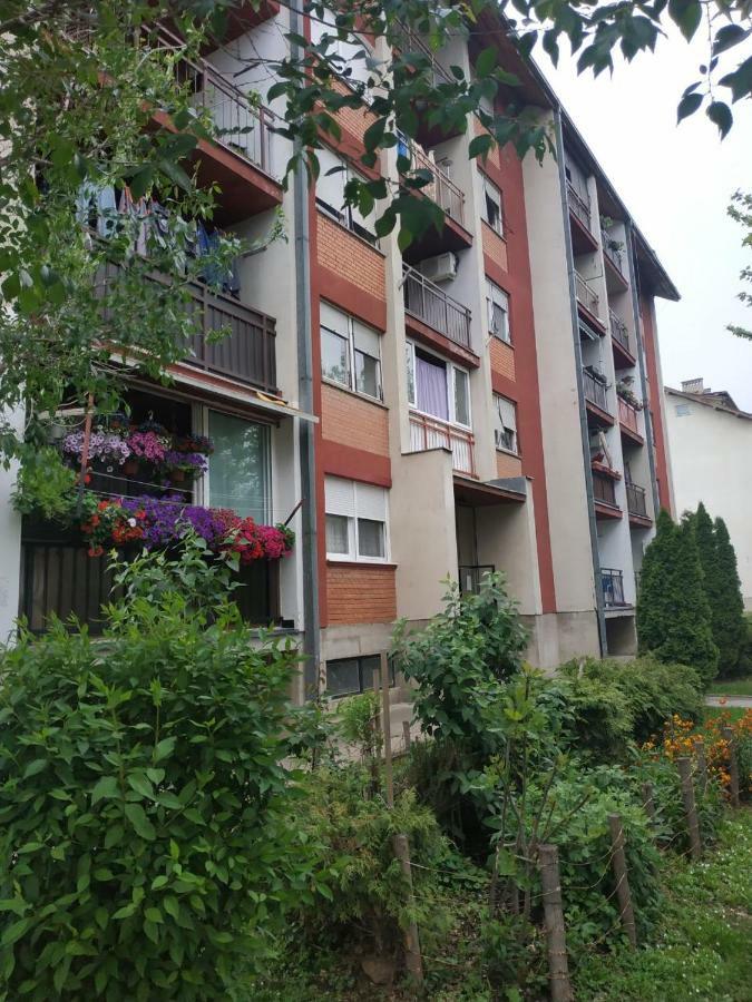 Apartman Ivan Vrdnik Exteriér fotografie